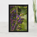 Search for grapes cards Vine