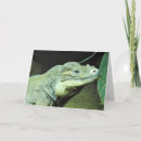 Search for rhinoceros cards Wildlife