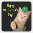 Search for st patricks day cat stickers Leprechaun