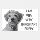 Search for very cute stickers Funny