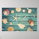 Search for pictures of seashells posters Sand