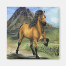 Search for buckskin magnets Horse