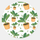 Search for plant stickers Nature