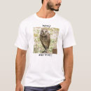 Search for owl photography Wild