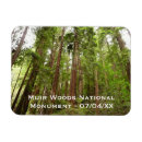 Search for muir woods magnets Trees