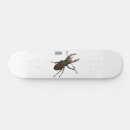 Search for europe skateboards United kingdom