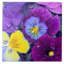 Search for bathing tiles Colour