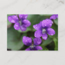 Search for spring chubby business cards Purple