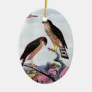 Search for sharp shinned Birds