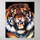 Search for growling posters Wild