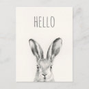Search for rabbits postcards Drawing