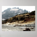 Search for gulls posters Black