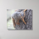 Search for squirrel picture art Pictures