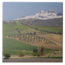 Search for andalusia tiles Hill