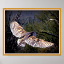 Search for sonoran posters Dry