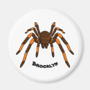 Search for tarantulas magnets Arachnid