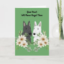 Search for black scottie postcards White