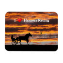 Search for stable magnets Equine