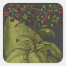 Search for chalkboard stickers Botanical