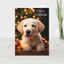 Search for yellow labrador retriever christmas cards Puppy