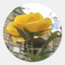 Search for tuscan stickers Yellow