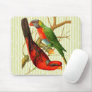 Search for green parrot electronics Nature