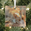 Search for pembroke welsh corgi christmas tree decorations Canine
