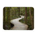 Search for forest walk magnets Walking