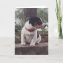Search for puppy cards Adorable
