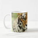 Search for siberian cat mugs Big