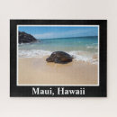 Search for turtle image Cute