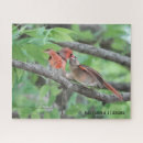 Search for cardinal bird puzzles Audubon