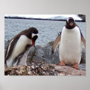 Search for penguin family posters Antarctica