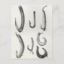 Search for hooks postcards English