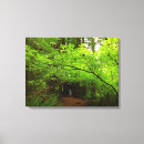 Search for maple canvas prints Nature