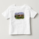 Search for pastimes tshirts Henry