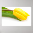 Search for easter flowers posters Yellow