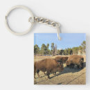 Search for bison bison key rings Herd