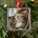 Search for domestic shorthair cat christmas tree decorations Animal