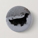 Search for setter badges Animal