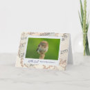 Search for owl bird cards Wildlife