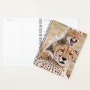 Search for reserves office supplies Africa