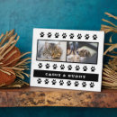 Search for cat plaques Cute