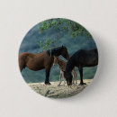 Search for foal accessories Mustang