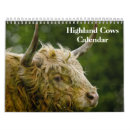 Search for cow calendars Animals