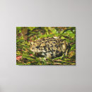 Search for alberta wildlife posters Side view