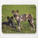 Search for species mousepads Wild animals