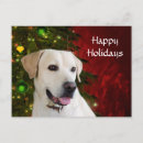 Search for yellow labrador retriever christmas cards Xmas