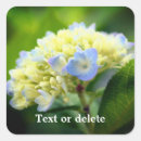 Search for hydrangea flowers stickers Botanical