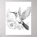 Search for adult coloring posters Illustration